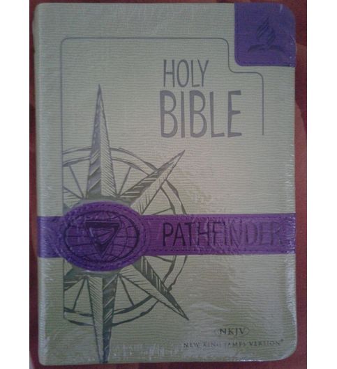Buy Pathfinder Bible at Lowest Price - PABI15922AYR21402 | Kraftly