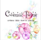 Cosmic Twins Cosmic Twins