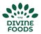 the-divine-foods-india