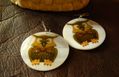 Owl Earrings