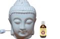 Electric Buddha Diffuser With Regulator And Fragrance Oil Free