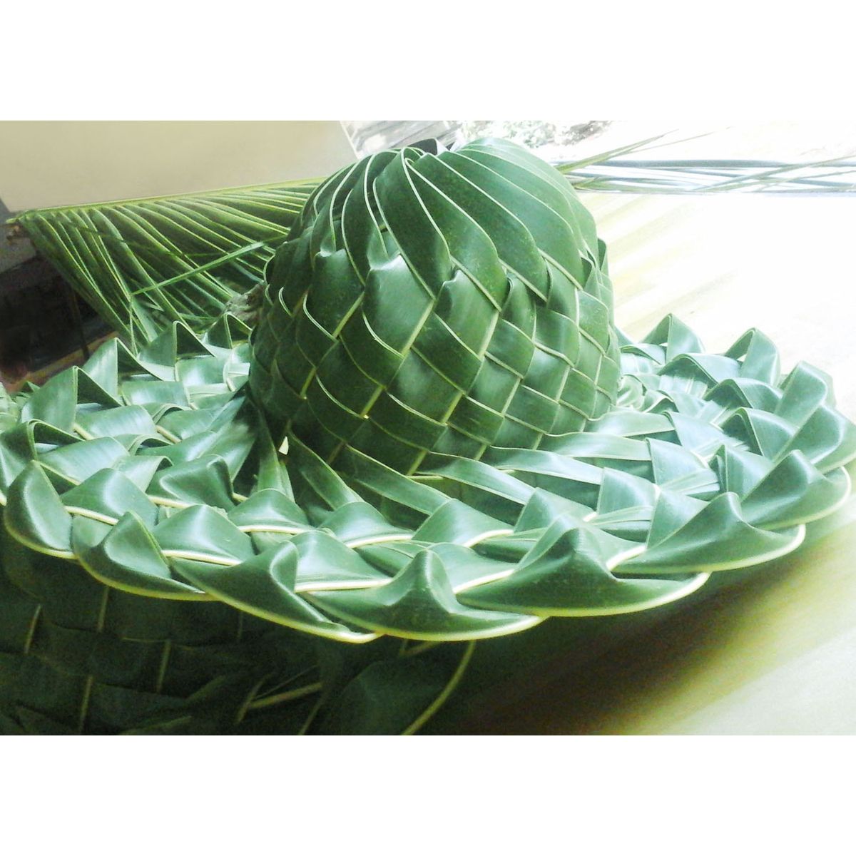 Buy Coconut Palm Leaf Hat at Lowest Price COPALE30042HMI044771 Kraftly