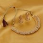 Penny Jewels Alloy Party Wear Stylish Fancy Necklace With Earring Set For Women & Girls